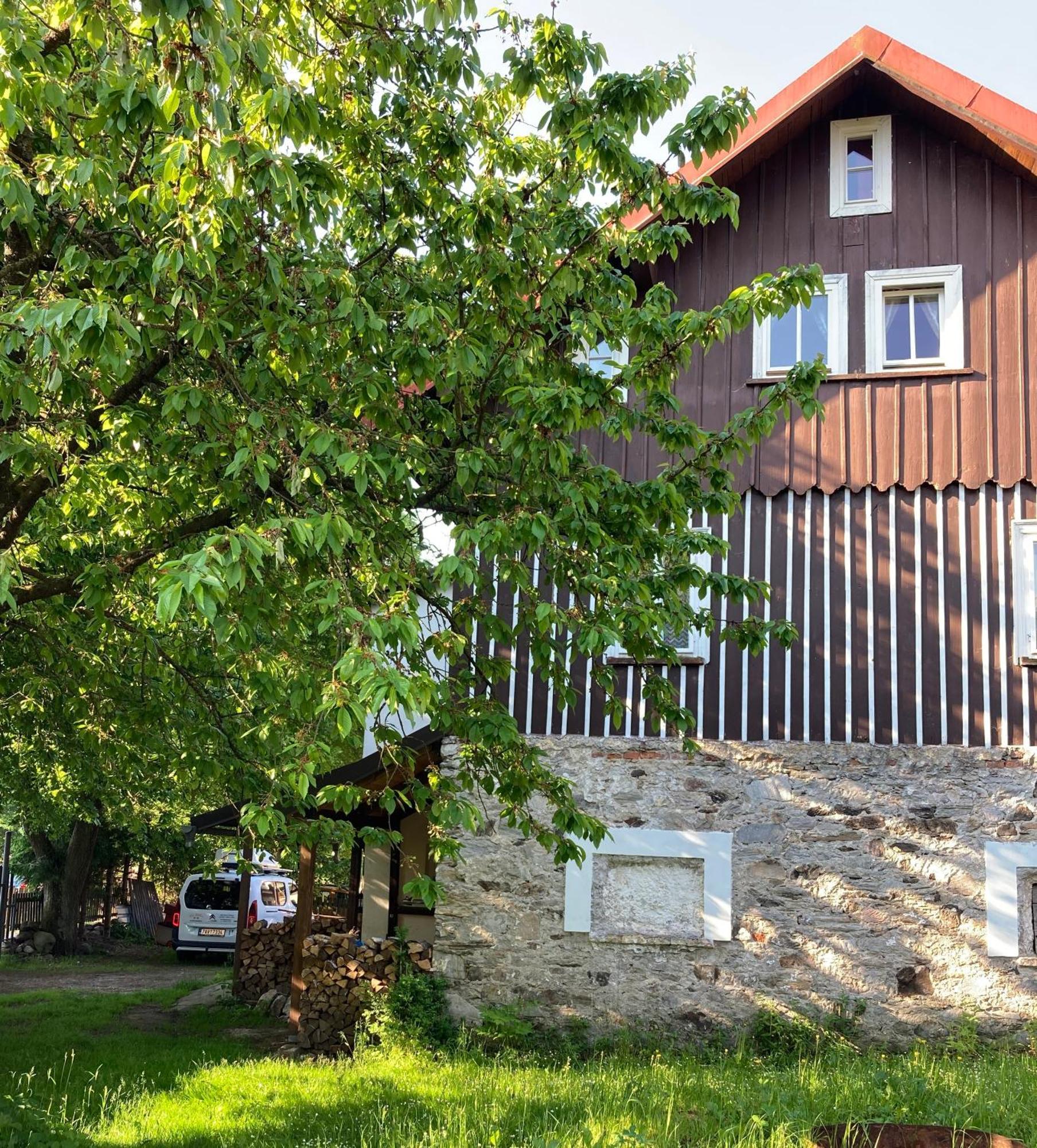 Vila Adelka - Utulna Chalupa V Krkonosich Hotel Horní Maršov Buitenkant foto